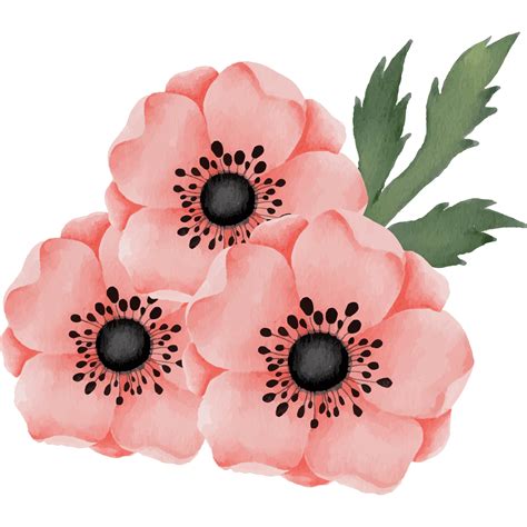 Rose With Peony Flower Bouquet Clip Art Element Transparent Background