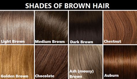 Brown Hair Color Shades Chart