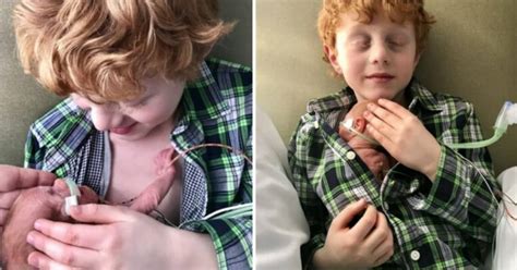 Bambino di sei anni coccola il suo fratellino prematuro ...