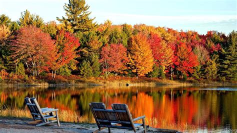 Autumn Landscape Calm Lake Fall Nature Tree Hd Wallpapers