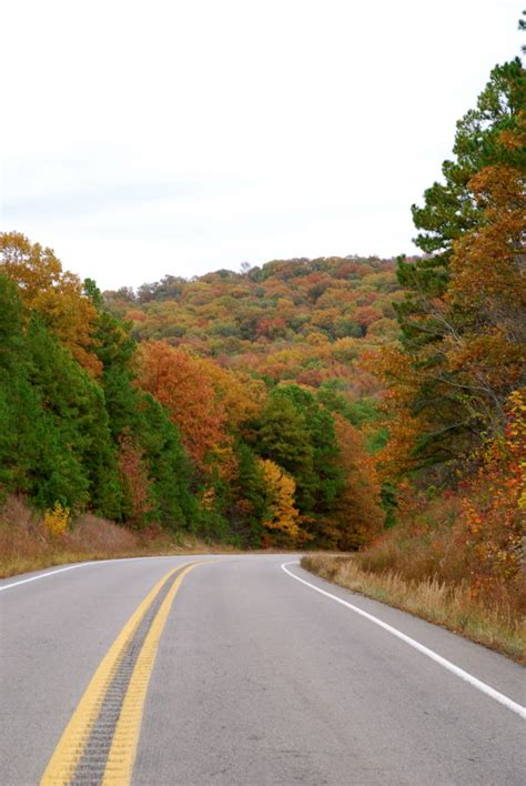 10 Country Roads In Arkansas That Are Pure Bliss In The Fall