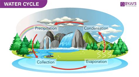 Water Cycle A Diagram Of Water Cycle With Detailed Explanations