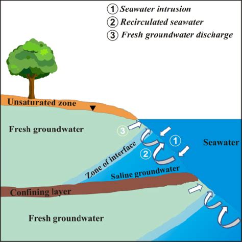 Conceptual Diagram Of Seawater Intrusion And Submarine Groundwater