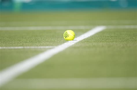 Federer Raonic Murray Berdych In Wimbledon Gentlemens Semifinals Espn Press Room U S