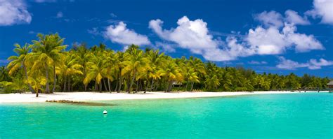 Download Wallpaper 2560x1080 Summer Maldives Tropical Beach Palm