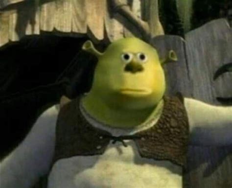 Pin De No Name Em Хиханьки хаханьки Rostos De Meme Memes Shrek