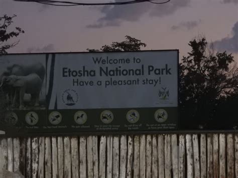 Etosha National Park Part 1 Morning Miles To The Wild