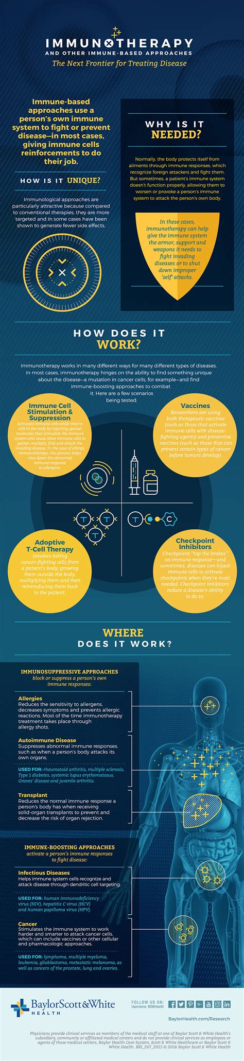 Heres Everything You Need To Know About Immunotherapy Infographic