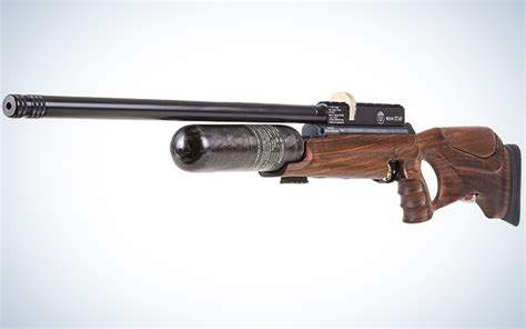 Best Air Rifles Of Outdoor Life