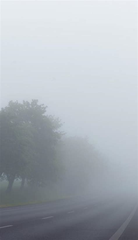 A Foggy Morning Rfoggypics