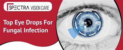 Which Are The Best Eye Drops For Fungal Infection Antifungal Eye Drops
