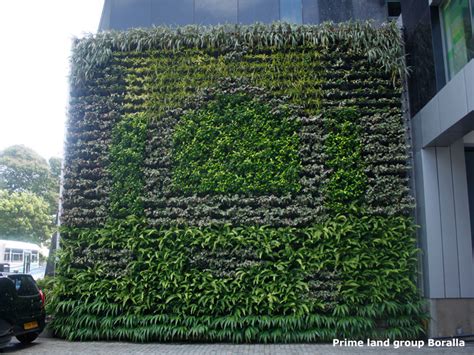 Plante Green Wall Vertical Garden Wallspan