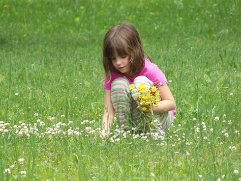 Picking Flowers Girl Child Free Photo On Pixabay Pixabay