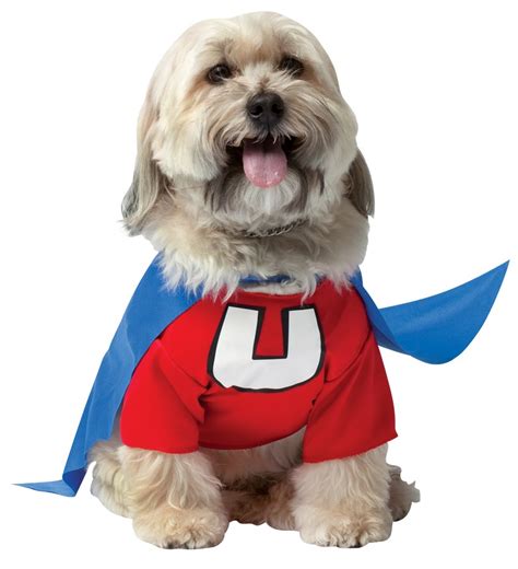Superhero Costumes For Your Dog