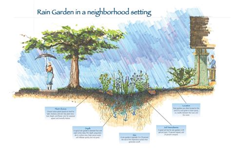 Costs vary according to how much of the work you do yourself as well as your location. Rain Gardens Offer Option for Problem Areas of Yard | Gardening in the Panhandle