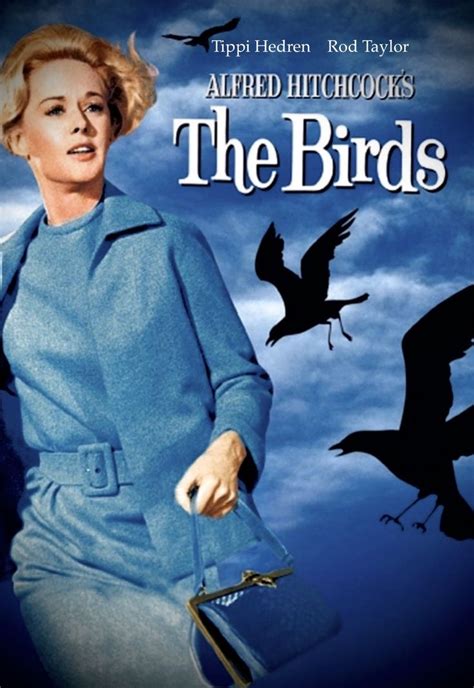 the birds 1963 film mythique meilleurs films alfred hitchcock