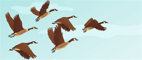Biology: Animal Migration: Level 1 activity for kids | PrimaryLeap.co.uk