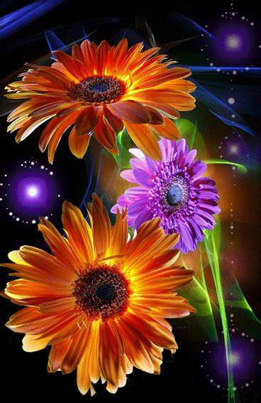 Their sight is a delight forever. Flowers: Animated Flowers