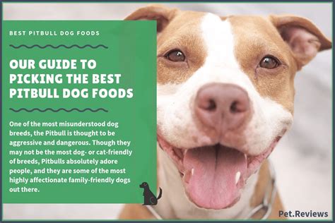 The most appropriate dog food for pitbulls is one that is high in proteins, quality fatty acids and reasonable in carbohydrates. 10 Best Dog Foods for Pitbulls: Our 2020 Bully Feeding Guide