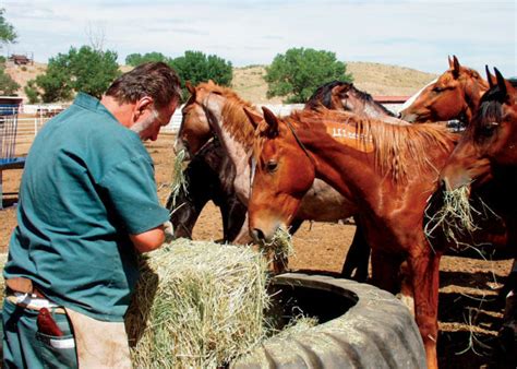 When it comes to taking with water, it is good with no side effects but tastes level little decreases when compared with milk. Where to Find the Largest Water Buffalo Dairy in the U.S ...