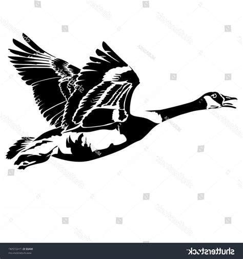 Vector Flying Goose Vector Flat Illustration Black Silhouette Flying