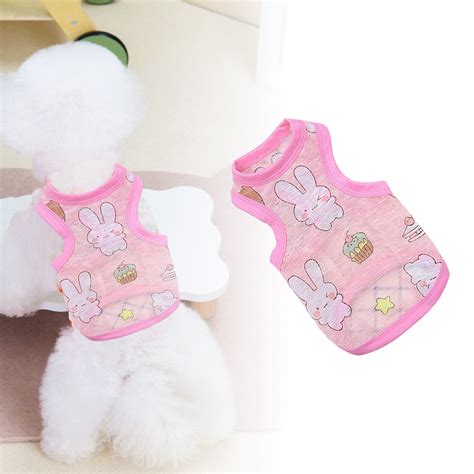 Must Haves Pet Gear Make Every Day A Fashion Show: Spoil Your Pet With