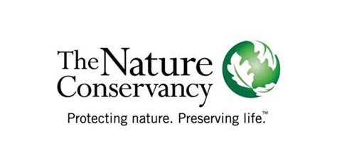 The Nature Conservancy Tnc Chile Presenta El Primer Bono De Carbono