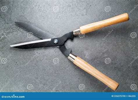 Pruning Shears Tool For Cut Your Plant Stock Photo Image Of Gardener