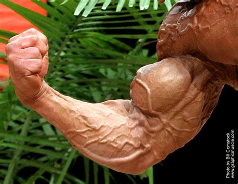 The Big Vein On Your Biceps How To Grow Muscle Biceps Bulging Veins