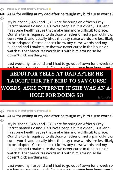Redditor Yells At Dad After He Taught Her Pet Bird To Say Curse Words Asks Internet If She Was