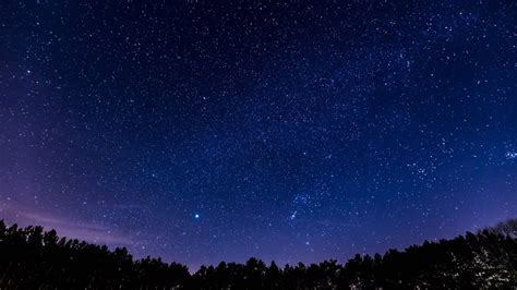 Panoramic Night Sky Stars Forest Wallpaper Wallpaper Stream