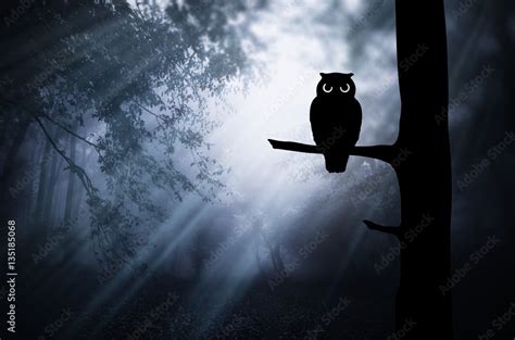 Gloomy Halloween Landscape Owl Silhouette On Tree Branch In Dark Scary