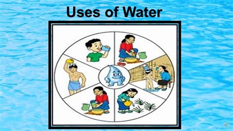 Uses Of Water I Water I Water And Its Uses I Importance Of Water I