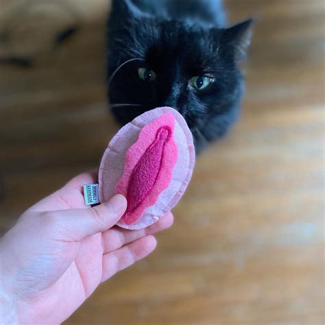 Vagina Catnip Toy Funny T Pussy Power Cat Toy R Rated Etsy