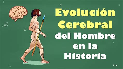 Evoluci N Cerebral Del Hombre En La Historia Aulamedia Historia