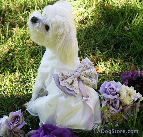 Lilac Wedding Dog Dress Ring Bearer Pet Wedding Proposal Idea