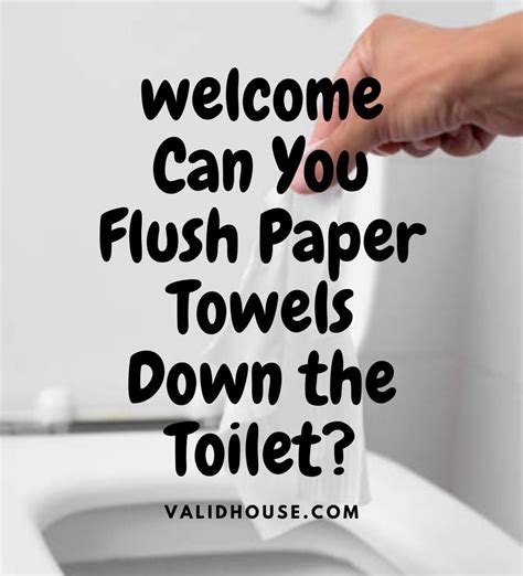 Can You Flush Paper Towels Down The Toilet Validhouse