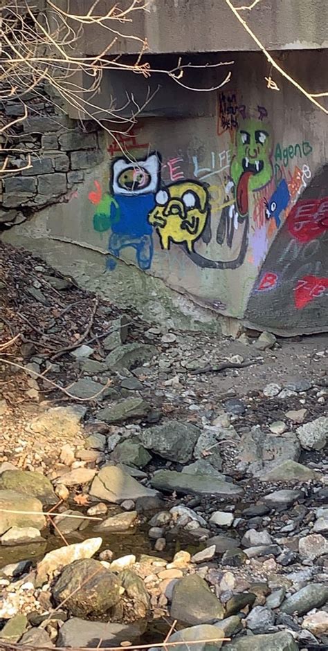 Just Saw This Graffiti In The Woods Adventuretime