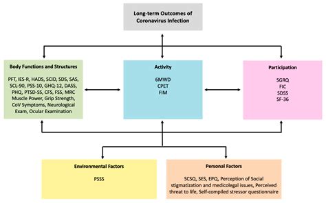 Ijerph Free Full Text Applying The Who Icf Framework To The Outcome