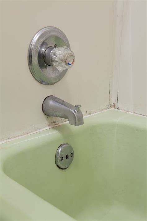 Check spelling or type a new query. Refinishing a Bathtub or Shower | Hunker | Shower liner ...