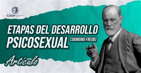 Las Etapas Del Desarrollo Psicosexual De Sigmund Freud
