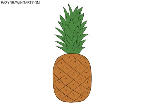 Pineapple sketch pineapple fruit pineapple illustration retro illustration photoshop simple doodles doodle sketch ikon line art. How to Draw a Pineapple | Easy Drawing Art