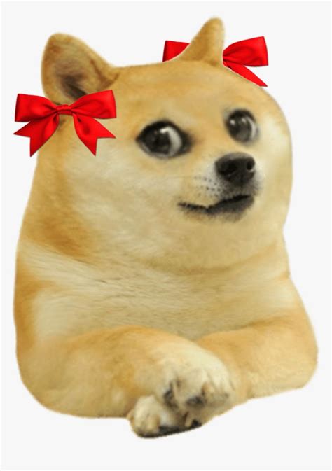Doge Kid Hat Hd Png Download Is Free Transparent Png Image To Explore