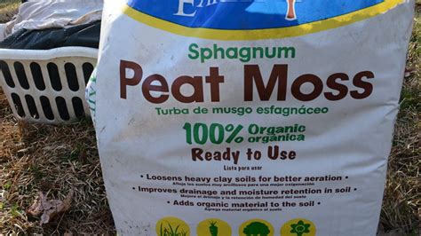 Sphagnum moss and peat moss begin life the same way, from the same plant. Sphagnum Peat Moss. Photo by Priya Jaishanker | Sphagnum ...