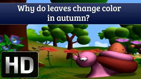 Photo by jeremy baucom (flickr creative commons). Why Do Leaves Change Color In Autumn? - General Knowledge ...