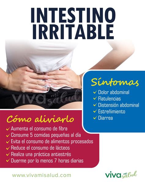 Síndrome Del Intestino Irritable ¿qué Es Y Cómo Aliviarlo Intestino