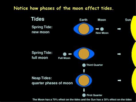 Mathematics Moon Phases And Tides