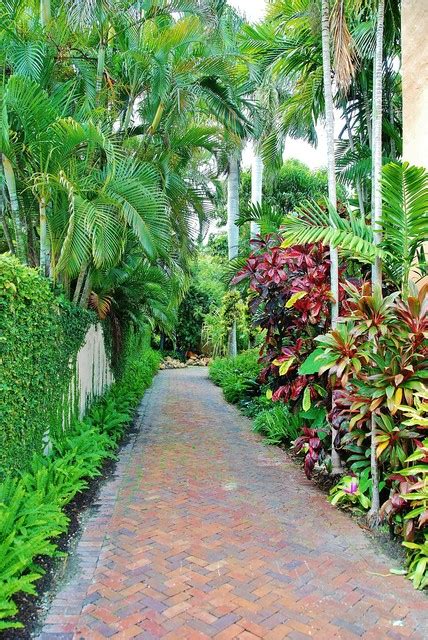 Tropical Landscape Design Tropical Garden Miami By Knoll