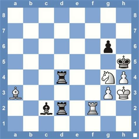 Основы шахмат практика координаты студия тренеры. Chess Puzzles | The Chess Website