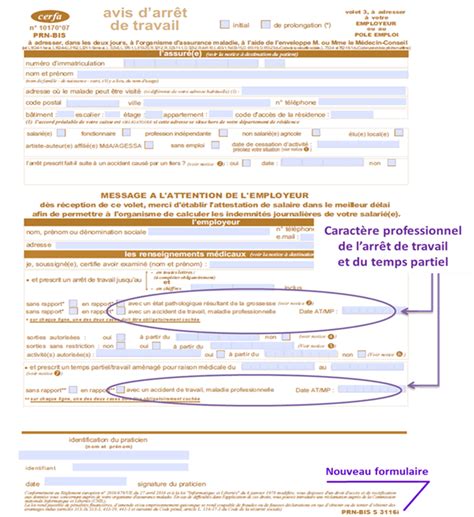 Cerfa Attestation De Salaire Accident Du Travail Ou De Hot Sex Picture